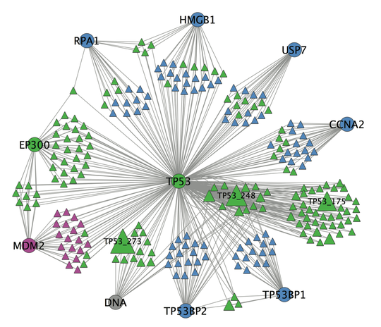 Cancer drivers research